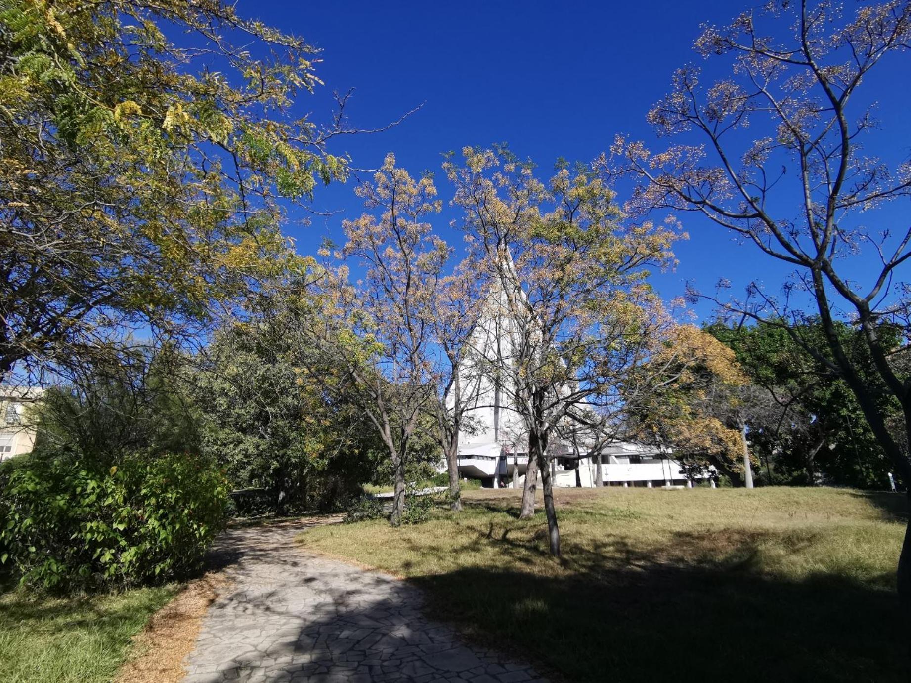 Parkhouse Apartament